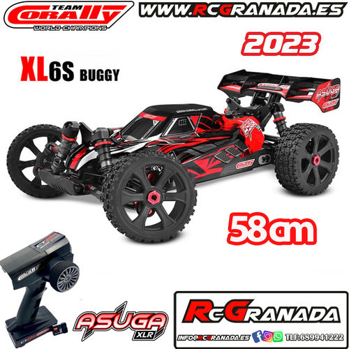 BUGGY CORALLY ASUGA XLR 6S BRUSHLESS RTR 58CM